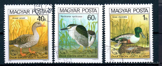 Венгрия 1980. Фауна Птицы - Европейская кампания по охране природы
