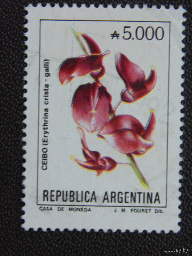 Аргентина. Цветы.