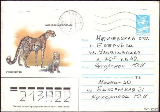 1985 год ХМК А.Исаков Гепард 85-42 2