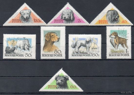 Служебные собаки Венгрия 1956 год серия 8 марок