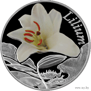 Лилия (Lilium) ("Красота цветов") 10 рублей 2013 года