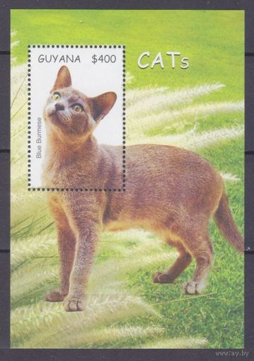 2007 Гайана 7892/B811 Кошки 5,00 евро