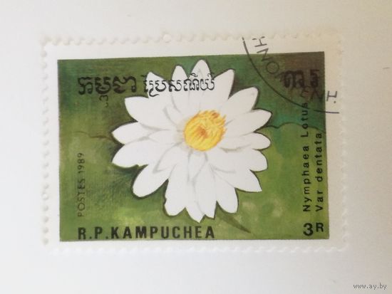 Камбоджа 1989. Цветы
