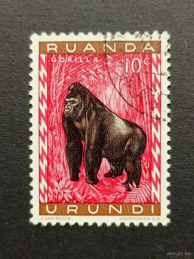 Руанда 1959. Фауна