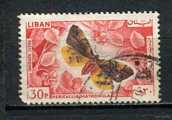 Ливан - 1965 - Бабочки 30Pia - [Mi.900] - 1 марка. Гашеная.  (Лот 72CP)