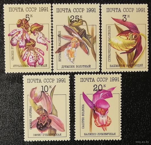 Орхидеи (СССР 1991) чист