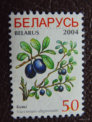 Беларусь 2004 г.
