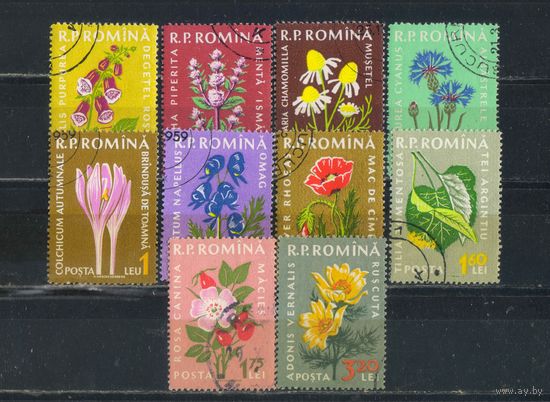 Румыния НР 1959 Эндемичные растения Румынии Полная #1814-23