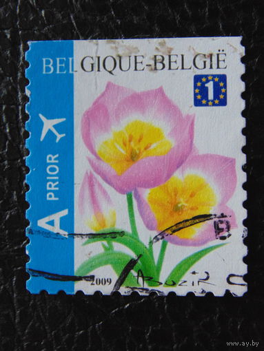 Бельгия 2009г. Флора.