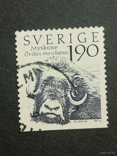 Швеция 1984. Горный мир