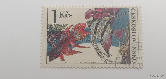 Чехословакия 1975. Аквариумные рыбки.
