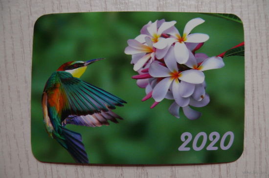 Календарик, 2020, Птицы. Колибри.