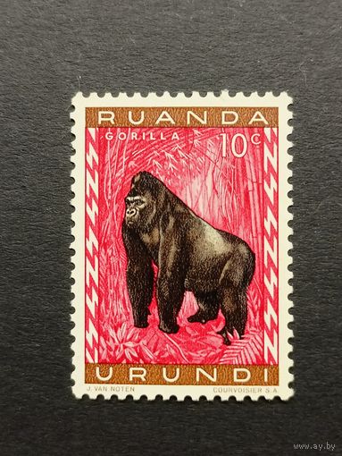 Руанда 1959. Фауна