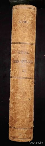 Книга Брэм Жизнь Животных том 1 млекопитающие1874. 1 издание