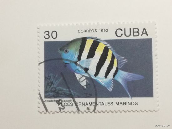 Куба 1992. Рыбы