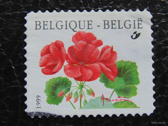 Бельгия 1999г. Флора.
