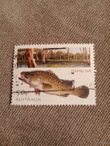 Австралия 2003. Рыбы. Murray Cod
