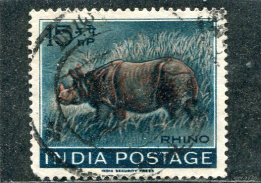 Индия. Фауна. Носорог