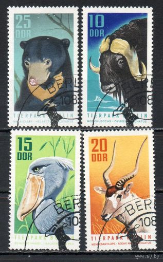 Берлинский зоопарк К 15-летию со дня открытия ГДР 1970 год серия из 4-х марок