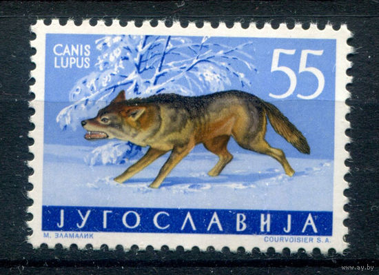 Югославия - 1960г. - фауна, волк, 55 Din - 1 марка - MNH. Без МЦ!