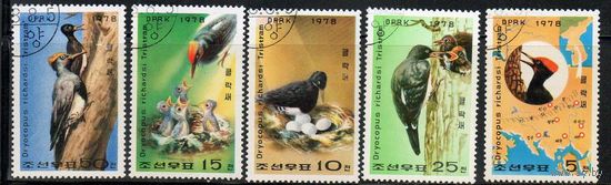 Дятлы Корея 1978 год серия из 5 марок