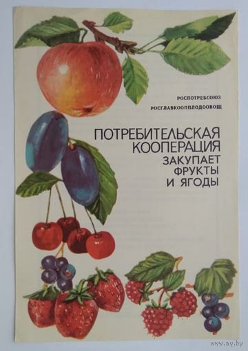 Буклет главкоопторгрекламы ,,закупка фруктов и ягод,, 1981 г