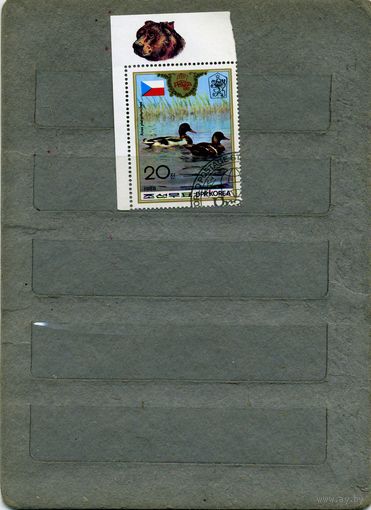 КНДР, 1988,   ФАУНА,   УТКА    (Прага 88) 1м  (с полем)