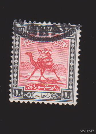 Французские колонии Фауна Верблюд-почтальон Наездник - Алжир 1927 год лот 11