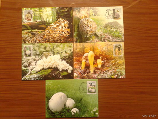 Беларусь 2010 грибы КМ комплект