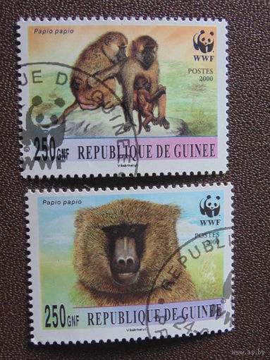Гвинея 2000 г. Обезьяны.