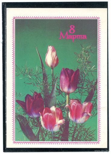 Тюльпаны. 8 Марта