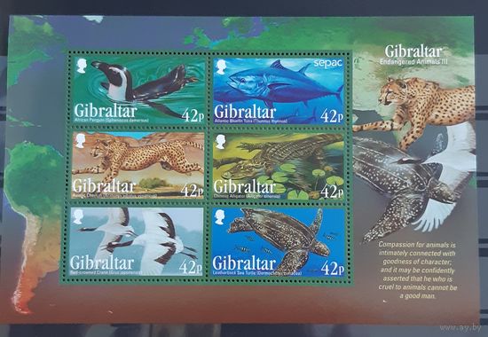 2013 исчезающие виды животных  - Гибралтар