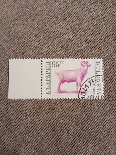 Болгария 1991. Домашний скот. Коза