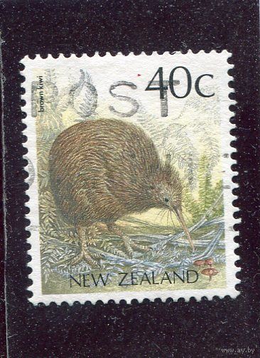Новая Зеландия. Зеландильский киви
