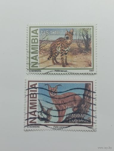 Намибия 1997. Маленькие дикие кошки