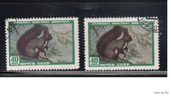 СССР-1959, (Заг.2242),   гаш. (с клеем)  , Фауна, Белка, оттенки цвета