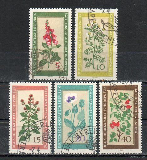 Цветы ГДР 1960 год серия из 5 марок