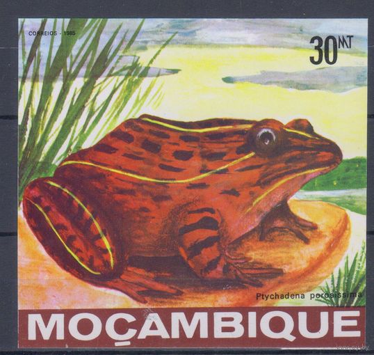 [2206] Мозамбик 1985. Фауна.Лягушка. БЛОК. MNH