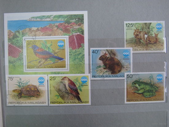 Марки - фауна, Мадагаскар, птицы, дятел, черепаха, заяц, олени, лягушка, блок и 5 марок