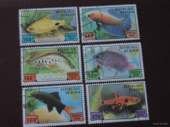 Бенин 1999 г. Рыбы.