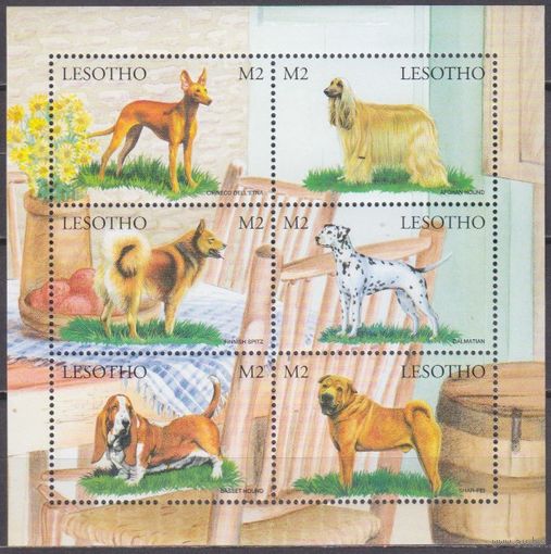 1999 Лесото 1445-50KL Собаки 6.00 евро
