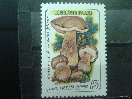 1986, Желчный гриб**