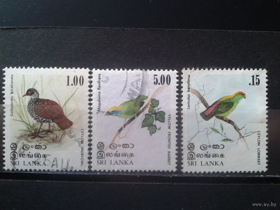 Шри-Ланка 1979 Птицы