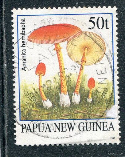 Папуа Новая Гвинея. Грибы