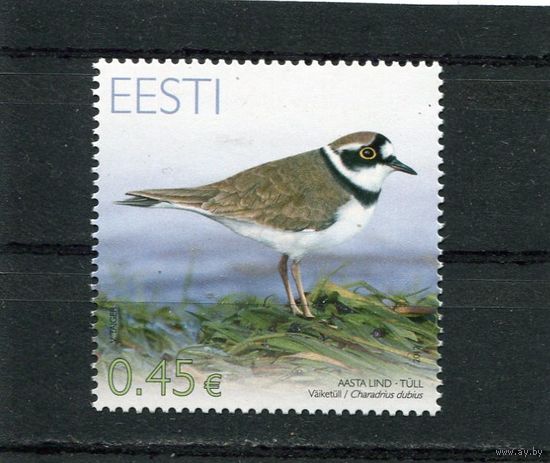 Эстония. Птица года. Малый зуек