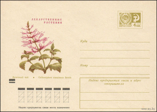 Художественный маркированный конверт СССР N 8050 (01.02.1972) Лекарственные растения Почечный чай