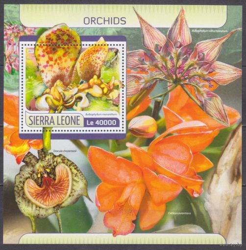2017 Сьерра-Леоне 8584/B1245 Цветы 11,00 евро