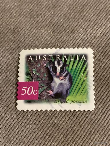 Австралия 2003. Striped Possum. Марка из серии