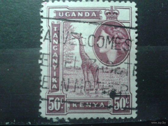 Кения Уганда Танганьика 1954 Королева, жираф 50с