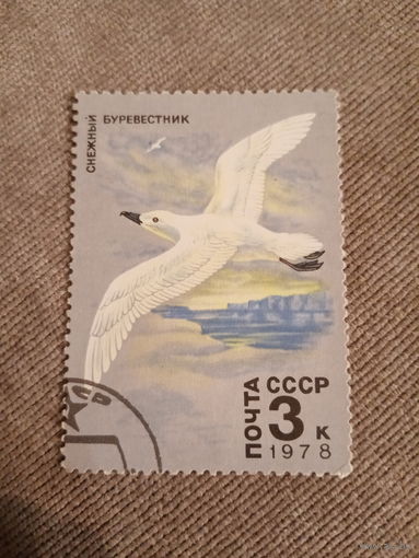 СССР 1978. Снежный буревестник